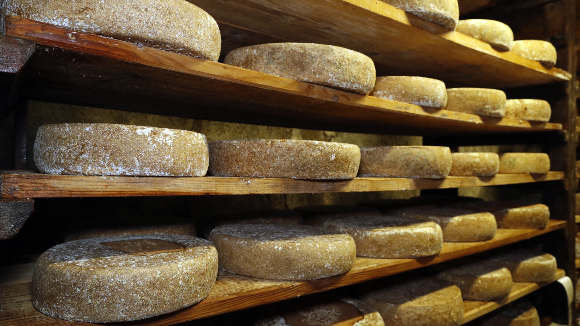 La Tomme à l