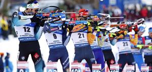 BMW IBU Coupe du monde de Biathlon