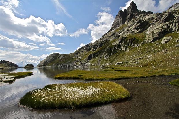 Les incontournables de Sainte-Foy Tarentaise en été - CGH Résidences
